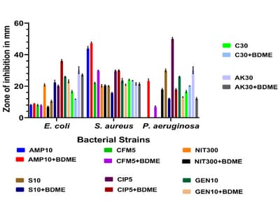 Validation of the Impact of Polyphenol-Rich Extracts on the Pro-Oxidant, Antibiotic Modulating, and Urobactericidal Properties of Boerhavia diffusa L. Root: A Uroprotective Ethnomedicine