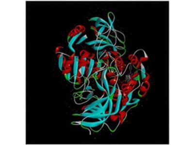 In silico Assessment of Bioactive Compounds from Thaalisaathi Chooranam Targeting Alcohol Dehydrogenase in Alcoholic Liver Disease