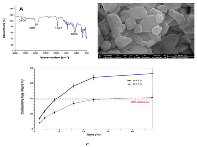 Camellia sinensis Extract Mediated Synthesis of Fe3O4 Magnetic Nanoparticles for pH-Responsive Targeted Breast Cancer Therapy