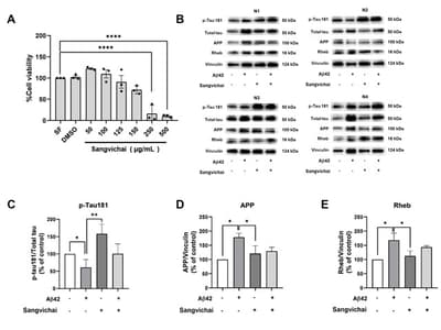 Multi-Target Neuroprotective Activity of the Traditional Thai Polyherbal Formula Sangvichai against Amyloid-β42-Induced Cellular Stress: An in vitro Study