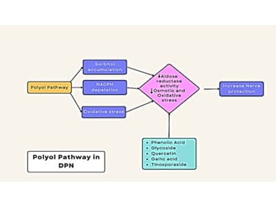 HPTLC-Based Phytochemical Profiling and Quality Control Evaluation of Sarivadi Lauha with Relevance to Diabetic Neuropathy