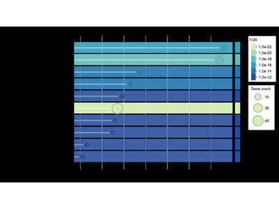 Elucidating the role of Shatapushpa (Anethum graveolens L.) in Rheumatoid Arthritis through In vitro and In silico Analysis