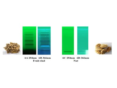 Integrated Phytochemical and Chromatographic Analysis for Detection of Adulteration in Terminalia chebula Fruit Rind Powder