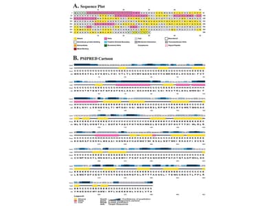Isolation and Characterization of Saponins from Asparagus racemosus: A HPTLC and LC-MS Study