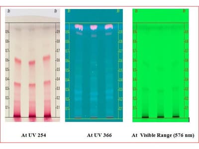 Pharmacognostical Standardization of Leaf and Stem Bark of Elaeodendron glaucum (Rottb.) Pers.- An Important Ethno-Medicinal Plant