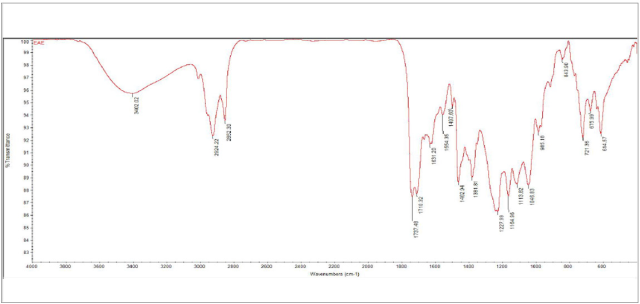 FTIR spectra of EAE of Synedrella nodiflora