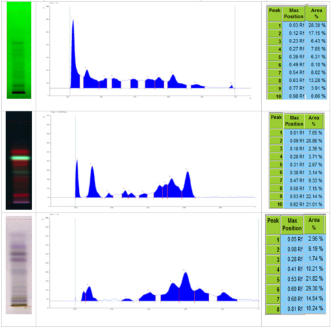 TLC fingerprint profile at 254 nm, 366 nm and 520 nm and peak area.