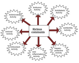 Overview of pharmacological activities of Ricinus communis.