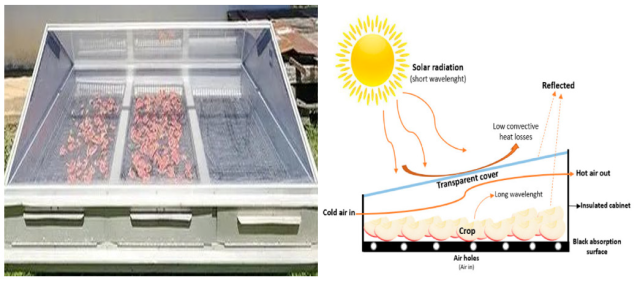 Representation of the solar drier and its drying process