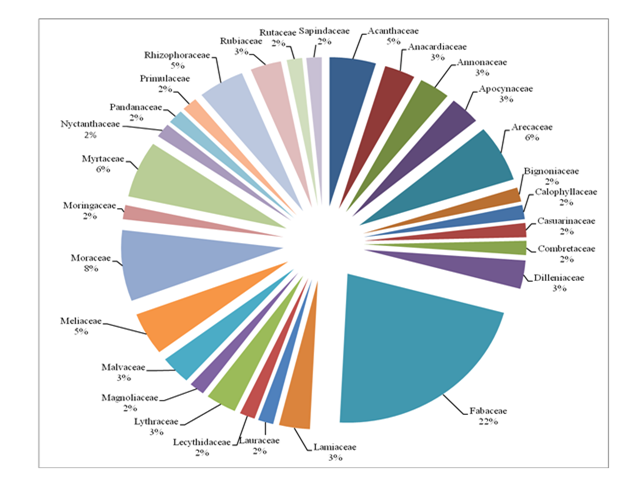 Percentage of tree distribution under different families.