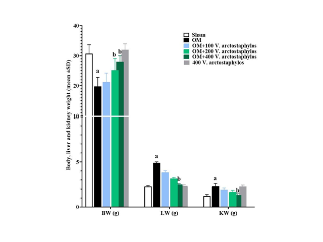 Total body (BW) (g), liver (LW) (g), and kidney weights (KW) (g) in experimental groups (means±SD).