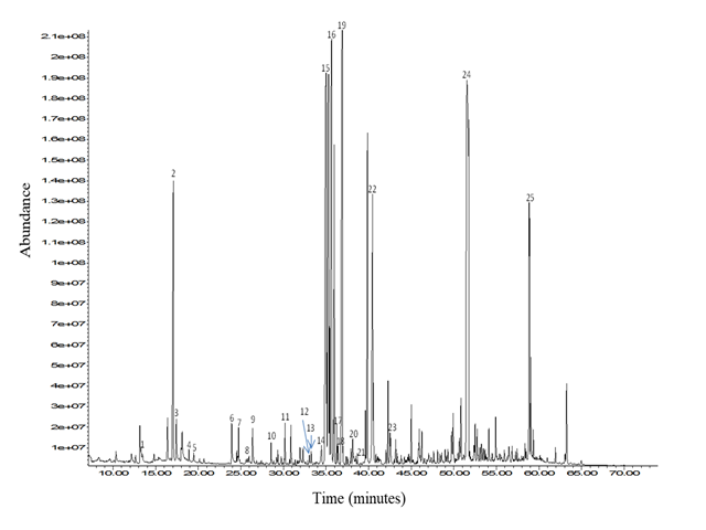 Typical GC-MS chromatogram (TIC) of Launaea nudicaulis (L.) Hook. f. sample.