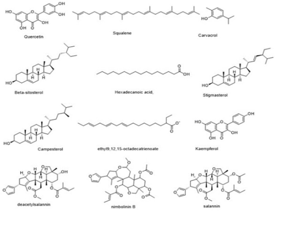 Presence of Chemical Structures in Melia azedarach