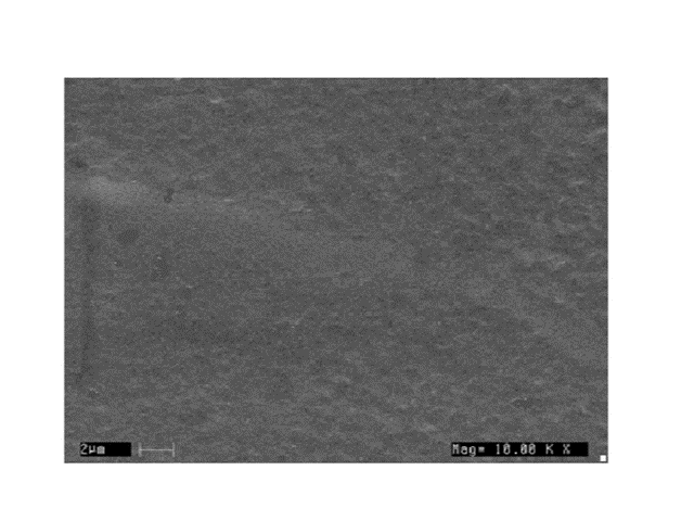 SEM image of CMC-Pectin film.