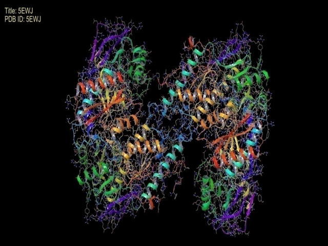 5EWJ receptor structure.