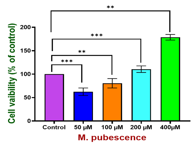 Neurotoxic effects of chloroform fraction of methanolic extract of M. pubescence on SK-N-SH cells (human neuroblastoma cell line).