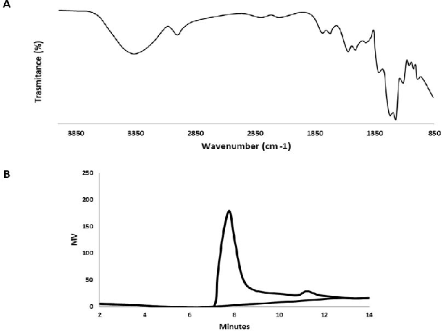 (A) FT-IR spectrum of polysaccharide (PLY); (B) Molecular weight of PLY determined by HPGPC