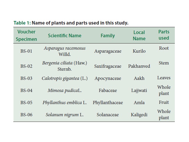 Name of plants and parts used in this study