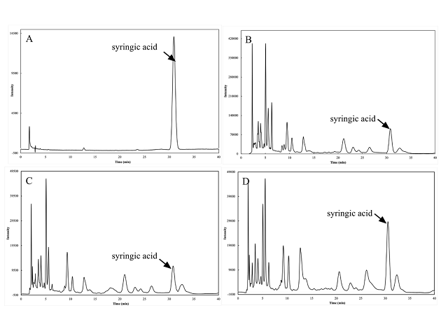 Potential Cosmeceutical Applications and Evaluation of Human Skin Irritation of Tagetes erecta L. Flower Extract