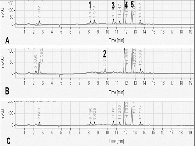 HPLC-DAD chromatograms of phenolic compounds present in Moringa oleifera extracts during different seasons