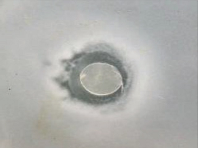 The disc diffusion test of the sample of 60%.