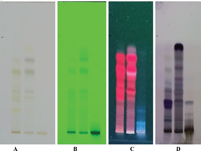 High Pressure Thin Layer Chromatography: A (Visible light), B (254 nm, UV light), C (366 nm, UV light) and D (366 nm, Post Derivetization, UV light)