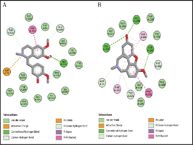 Result of molecular docking using the Autodock program for a) reticuline; b) galantamine.