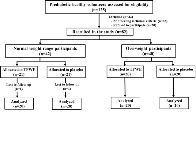 Flow chart of participants.