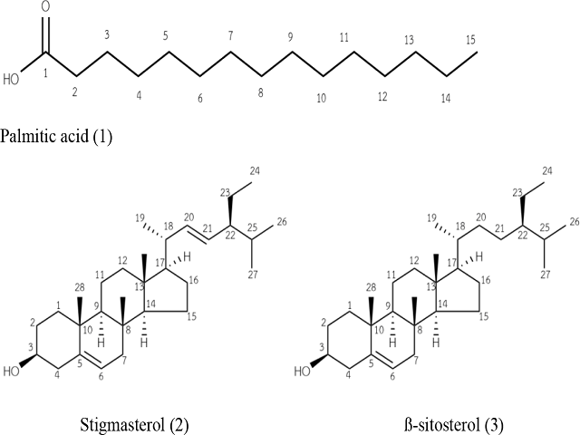 Structures of isolated compounds of Hydnophytum formicarum Jack.