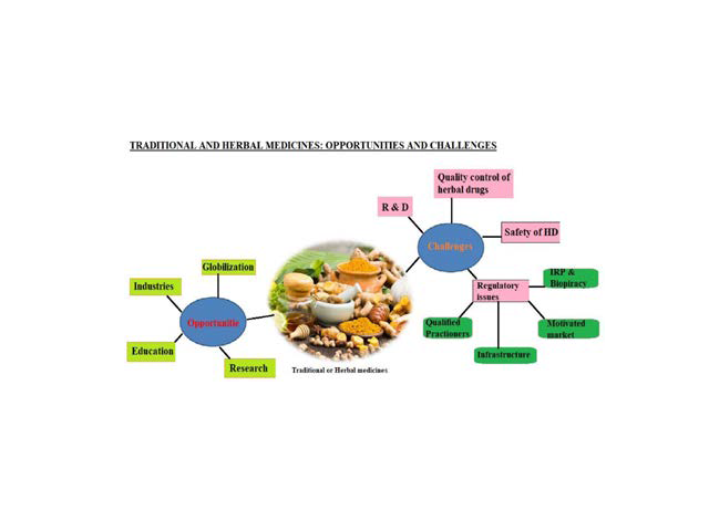 GRAPHICAL ABSTRACT