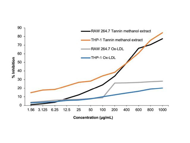 Cytotoxicity assay by MTT. (n = 3)