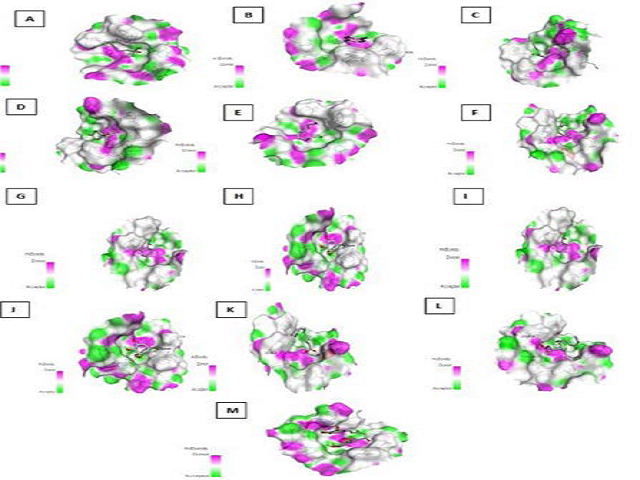 3-dimensional interactions of ligands with receptor NADPH Oxidase.