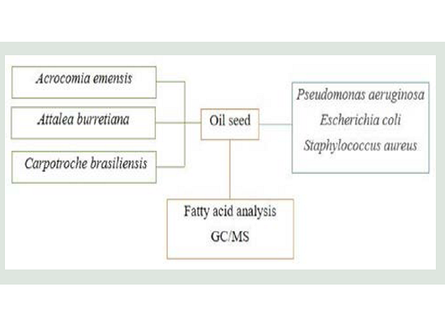 Fatty Acid Profile and Antimicrobial Activity of Oils Extracted from Seeds of Oleaginous Plant Species