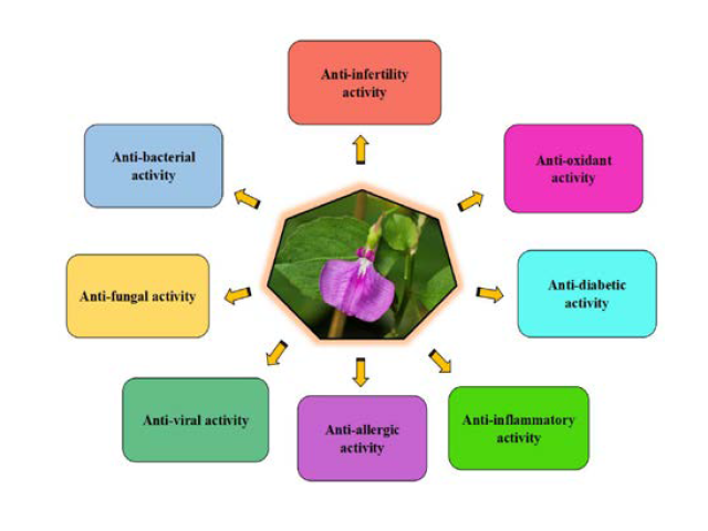 Graphical Abstract