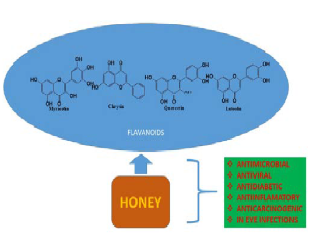 Graphical Abstract