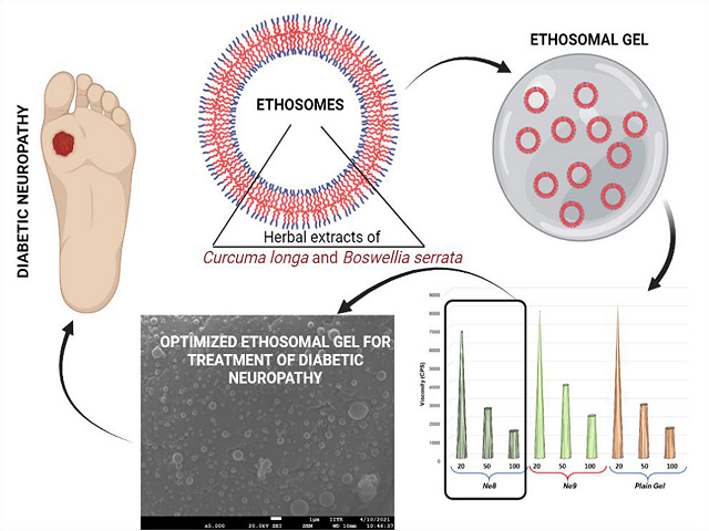 Graphical Abstract