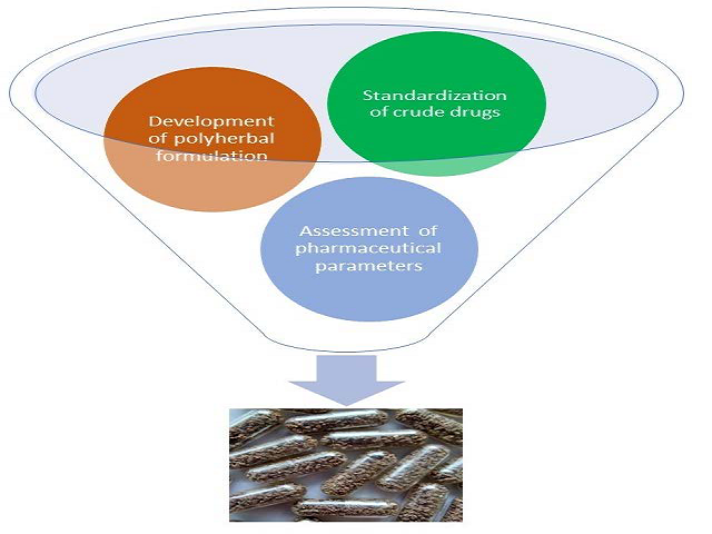 Graphical Abstract