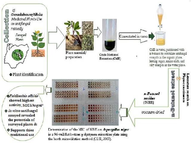 Graphical Abstract