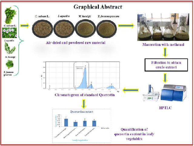 Graphical Abstract