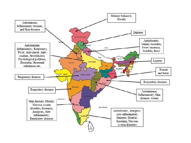 Ethnomedicinal uses of Ashwagandha leaf in India.