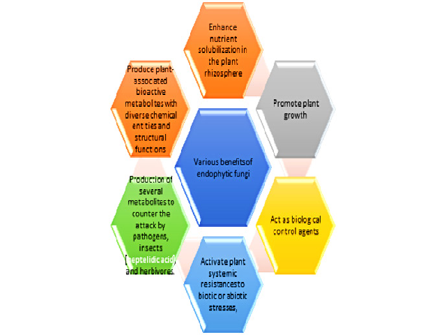 Various benefits of endophytic fungi