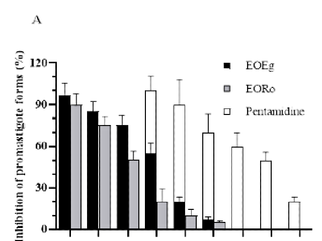 Effects of EOEg, EORo, and Pentamidine on the survival of L. amazonensis promastigotes