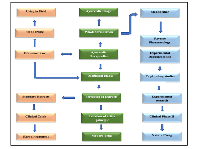 Pathway to research and development of natural products.