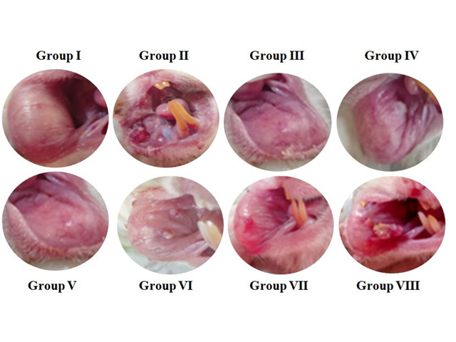Photograph showing the gross appearance of oral tumors.