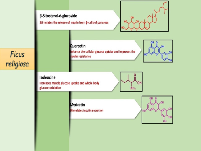 Phytoconstituents of Ficus religiosa.