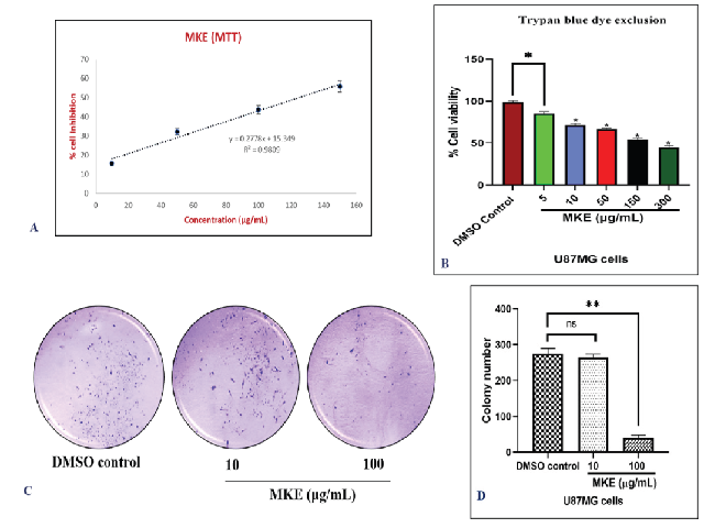 Cytotoxicity of MKE evaluated against U87MG cells using MTT; Graphical representation of percent inhibition of cells