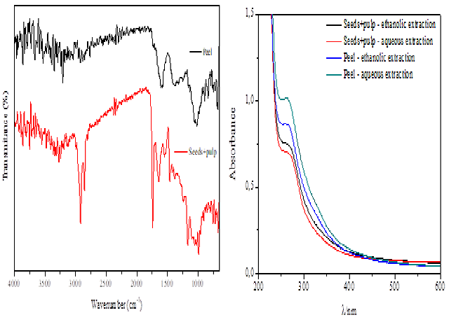 FTIR spectra of solid samples (a) and absorption spectra in the UV/vis region of the aqueous and ethanolic extracts (b) of the peel and seed+pulp of M. charantia residues.