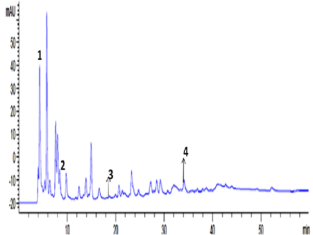 HPLC chromatogram of CA root (RT) showing 1-Gallic acid (Rt= 4.296), 2-2,4-dihydroxybenzoic acid (Rt= 8.101), 3- p –Cresol (Rt= 18.885), 4- Quercetin (Rt= 34.158).