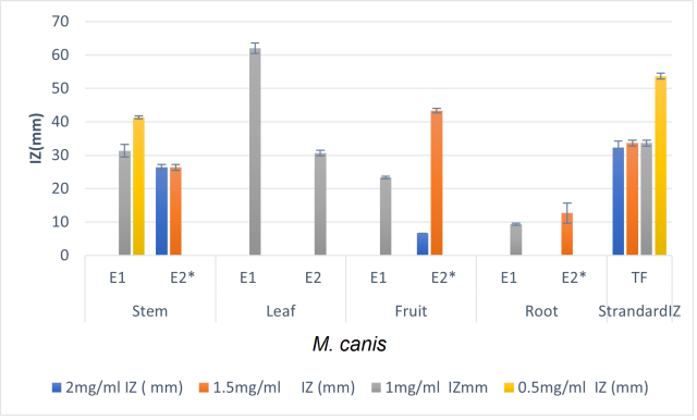 Antidermatophytic activity of flavonoids of Euphorbia hirta against M. canis. Inhibition zone (mm) of extracts from Euphorbia hirta against M. canis; Tested concentrations of extract against M. canis are 2 mg/ mL, 1.5 mg/mL, 1 mg/mL, 0.5 mg/mL.