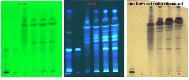 TLC Photodocumentation of Eclipta alba juice, sesame oil, KMT1, KMT2 and KMT3.Track 1-Eclipta alba juice; Track 2-Wedelolactone, Track 3-Raw oil, Track 4-KMT1, Track 5-KMT2, Track 6-KMT3.